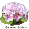 Geranium Society